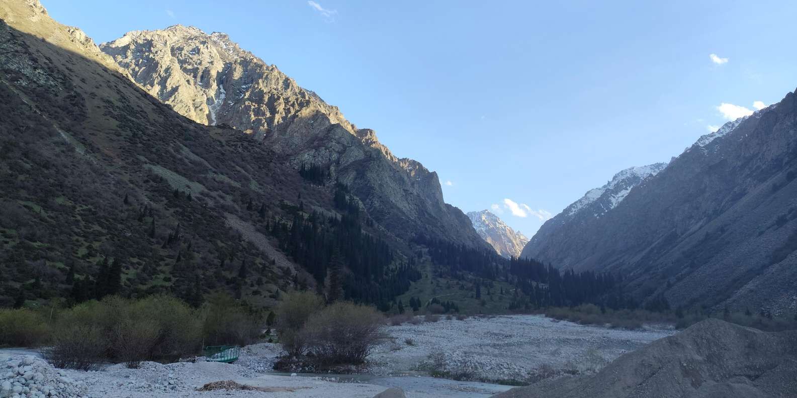 section