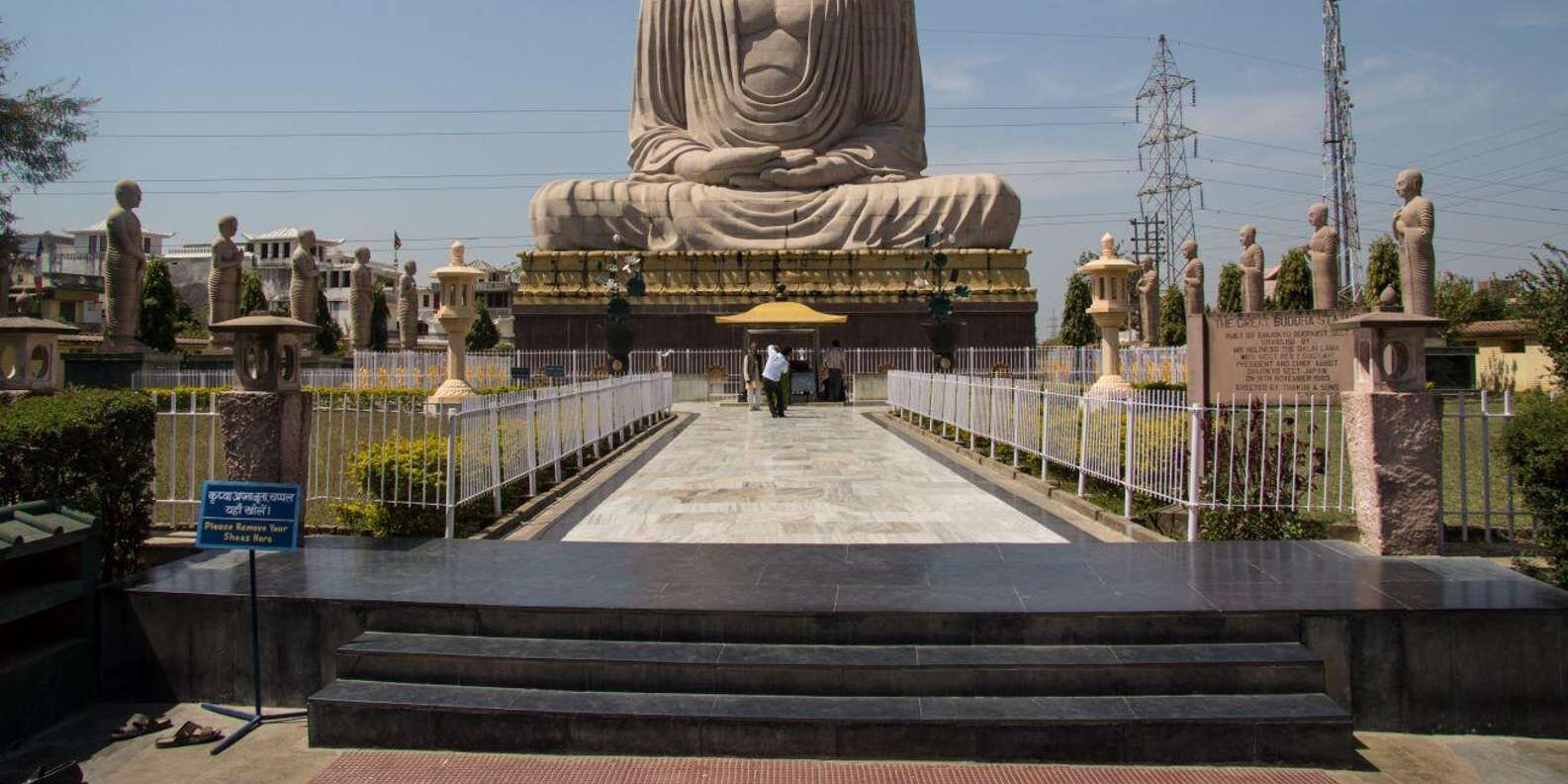 section