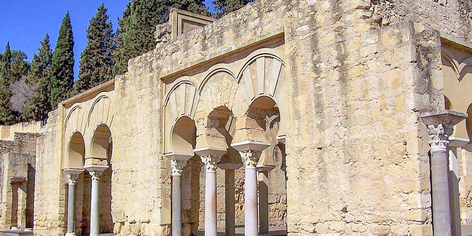 section