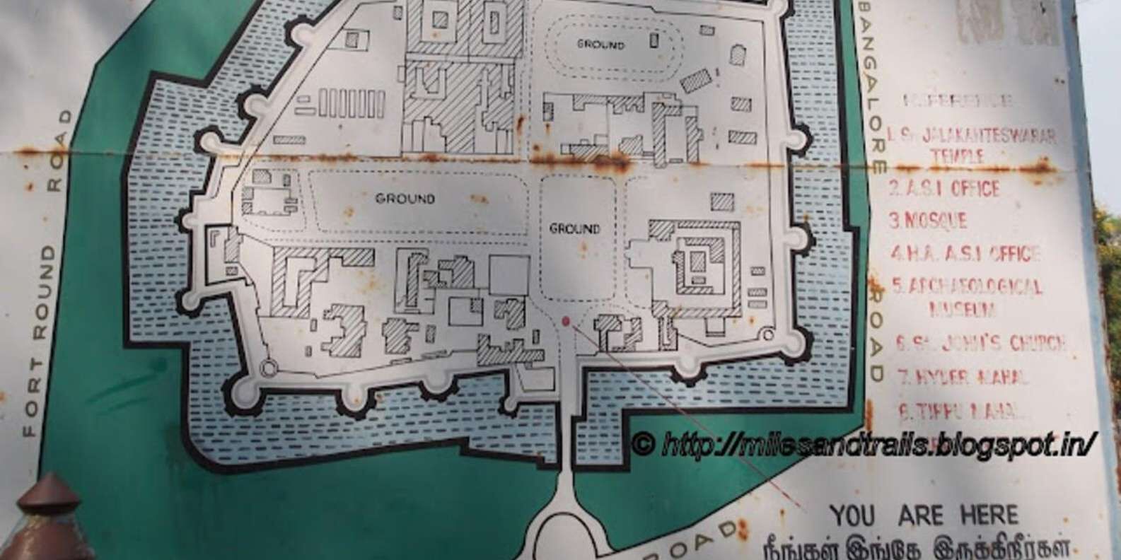 section
