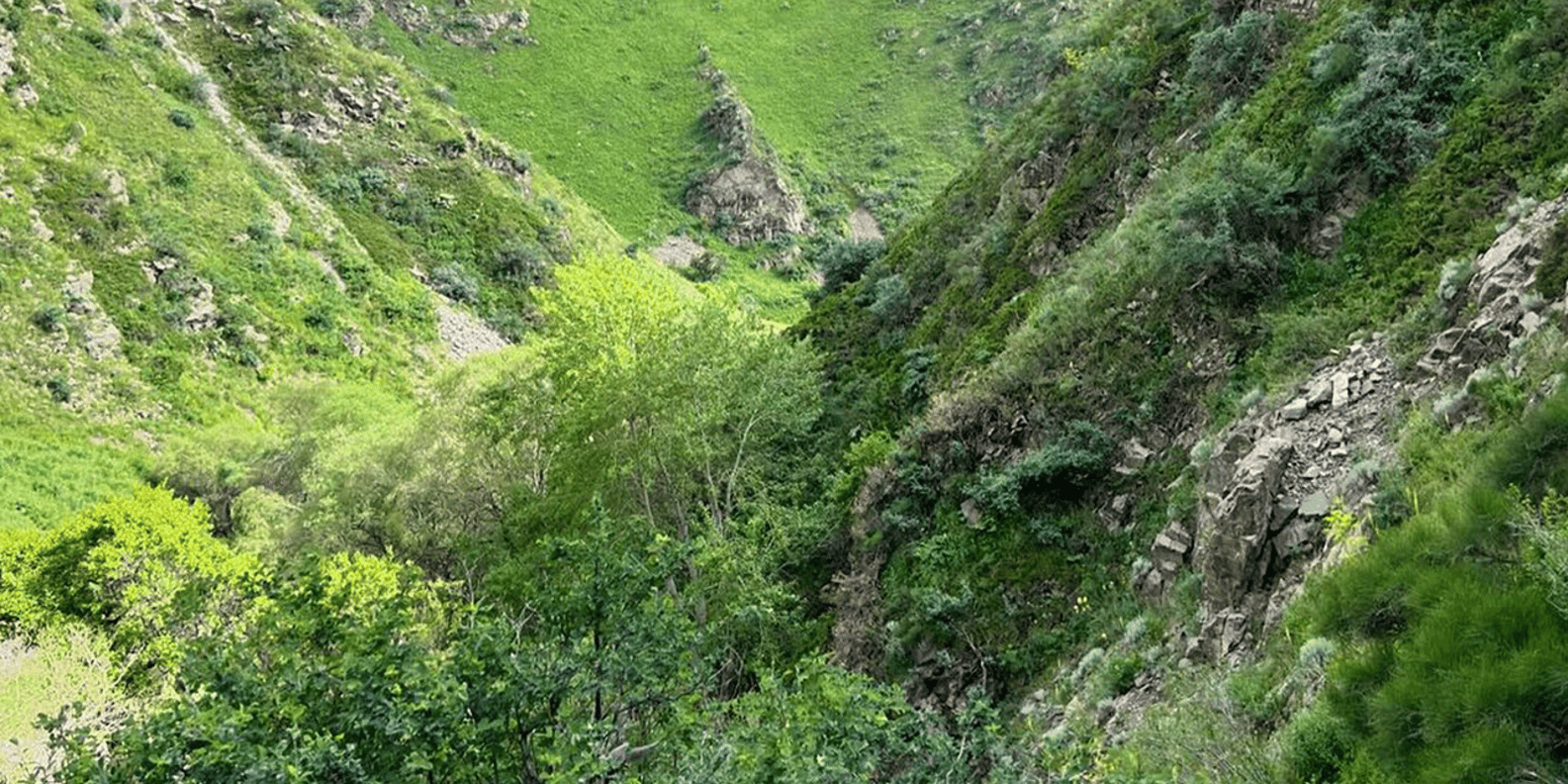 section