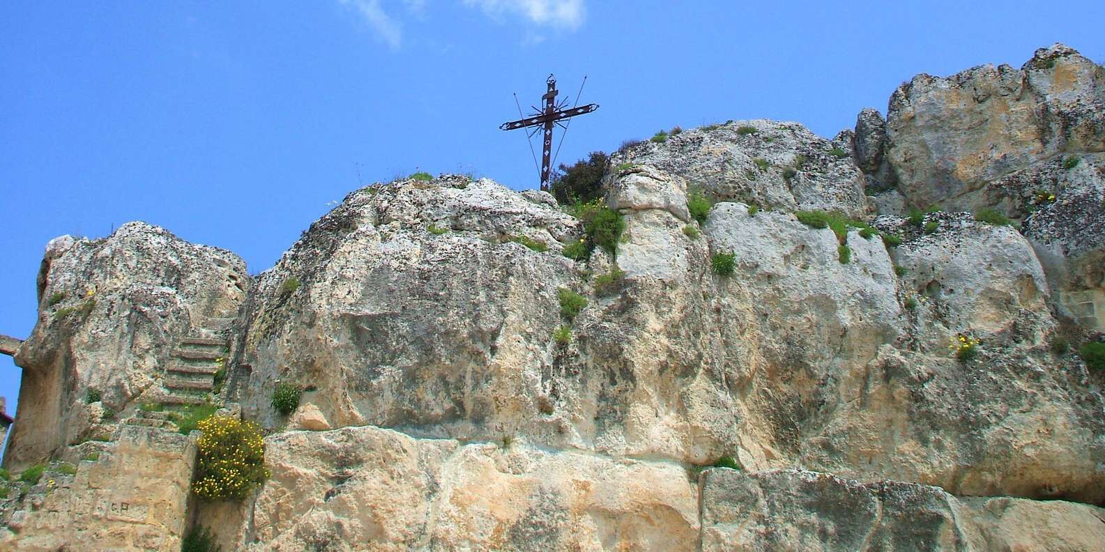 section