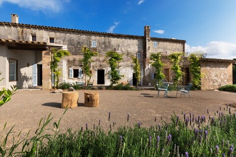 손 메스퀴다 벨