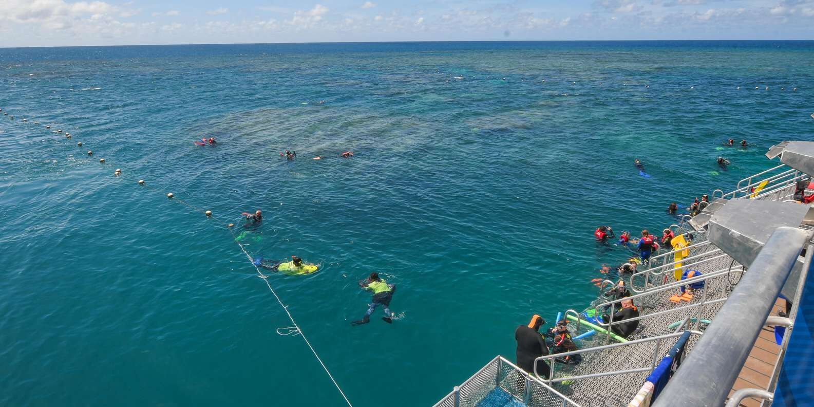 section