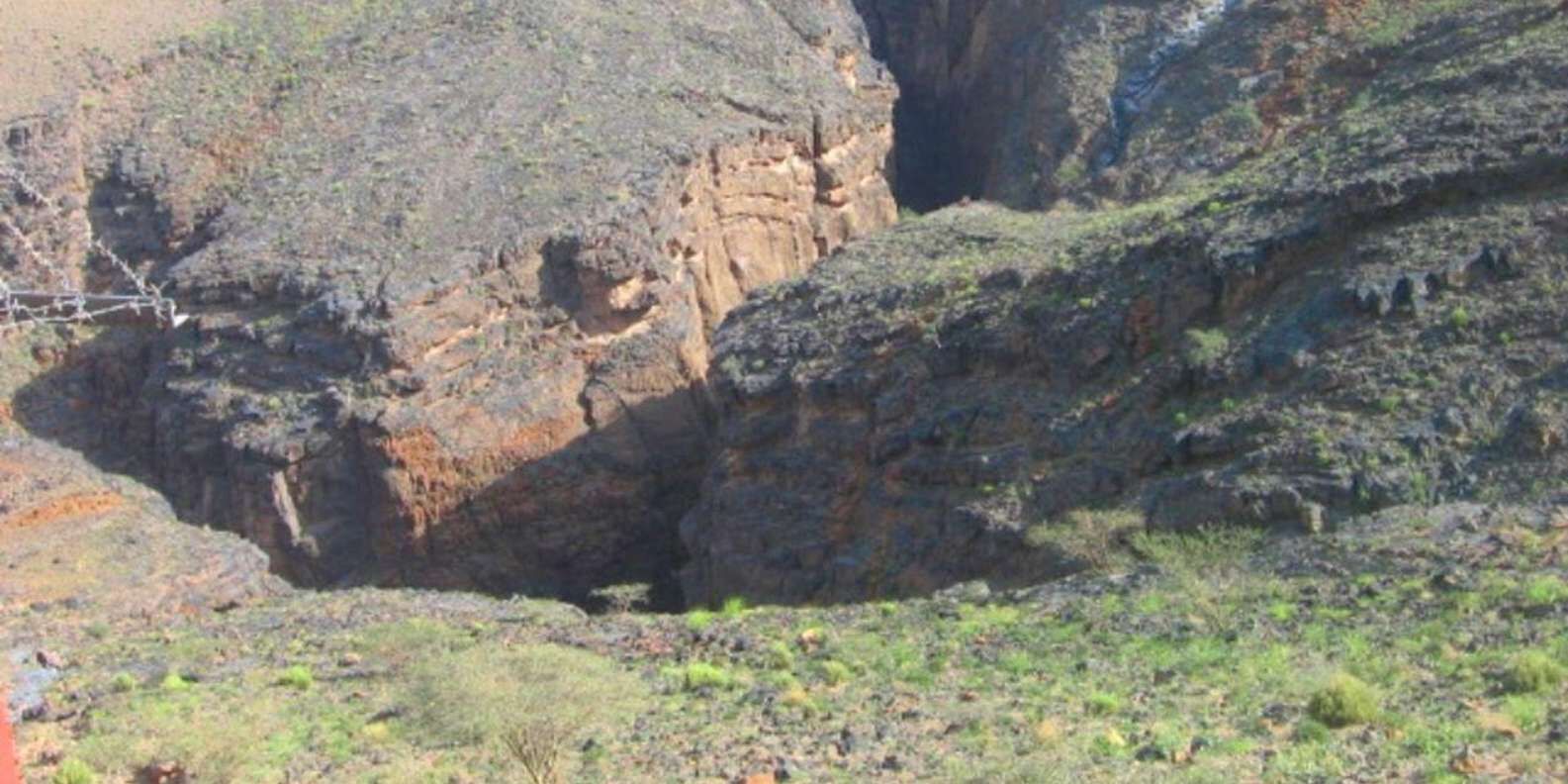 section