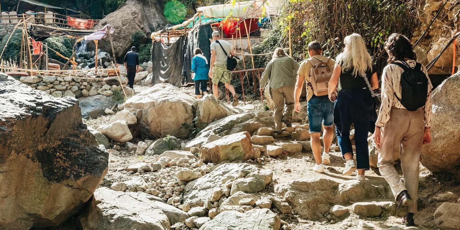 section