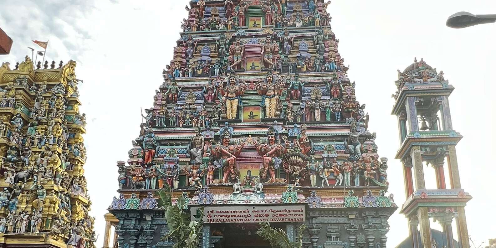 section