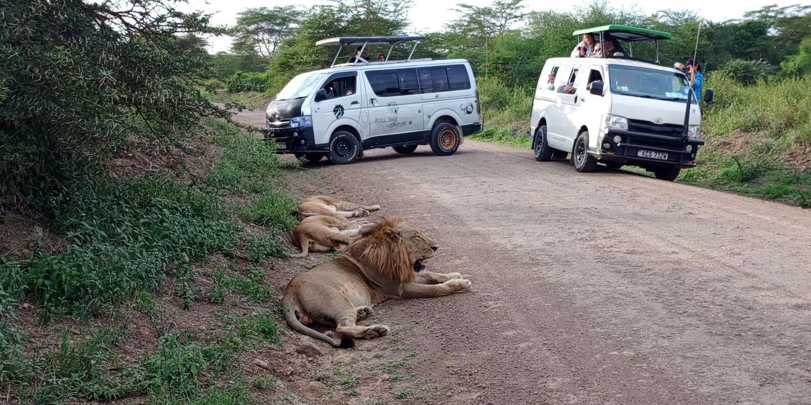 hero