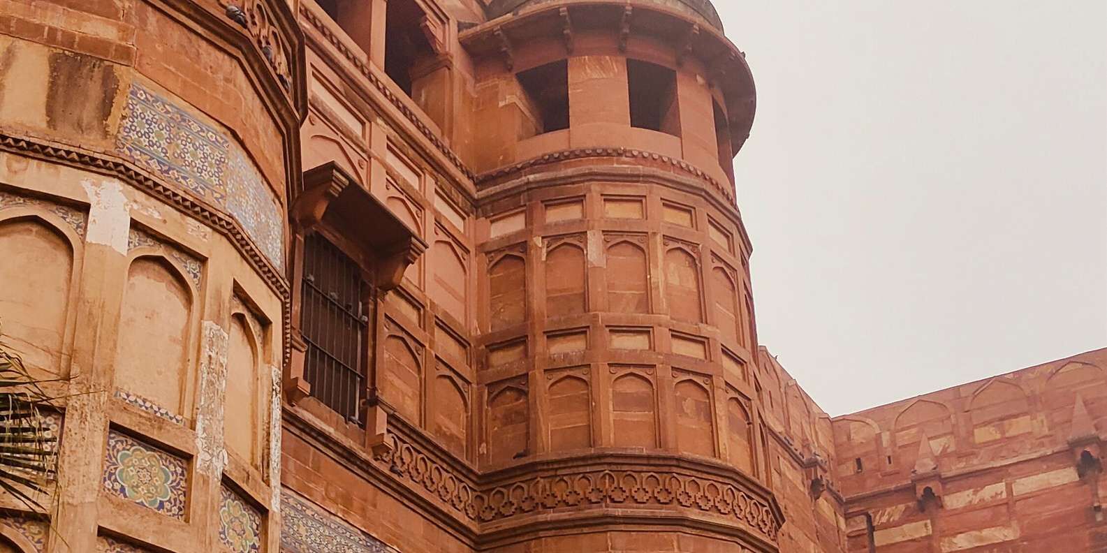 section