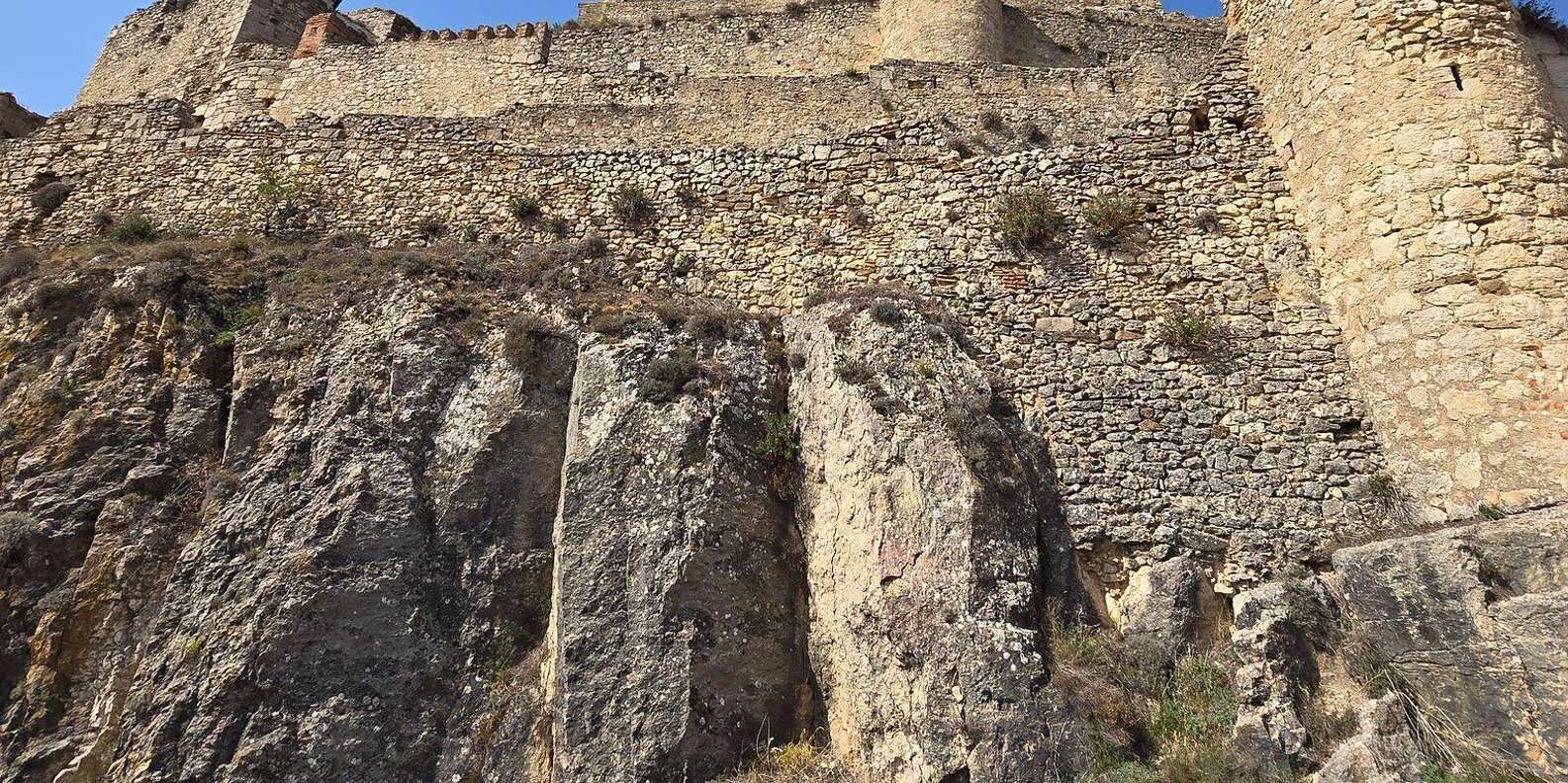 section