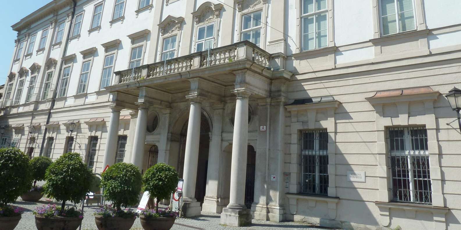 section