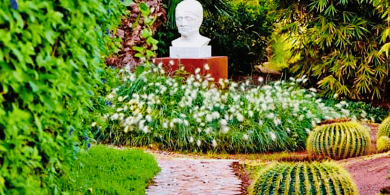 section