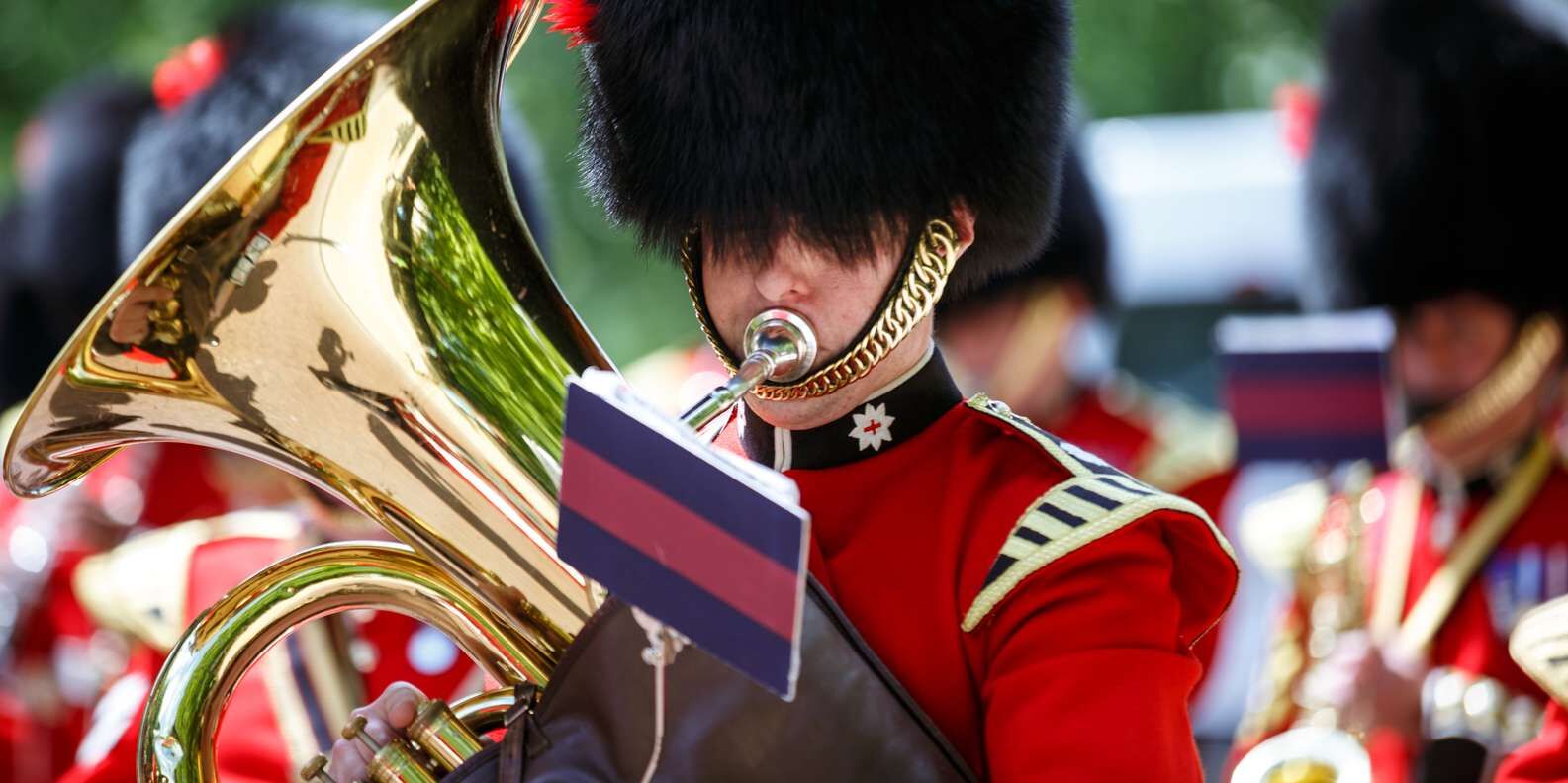 section