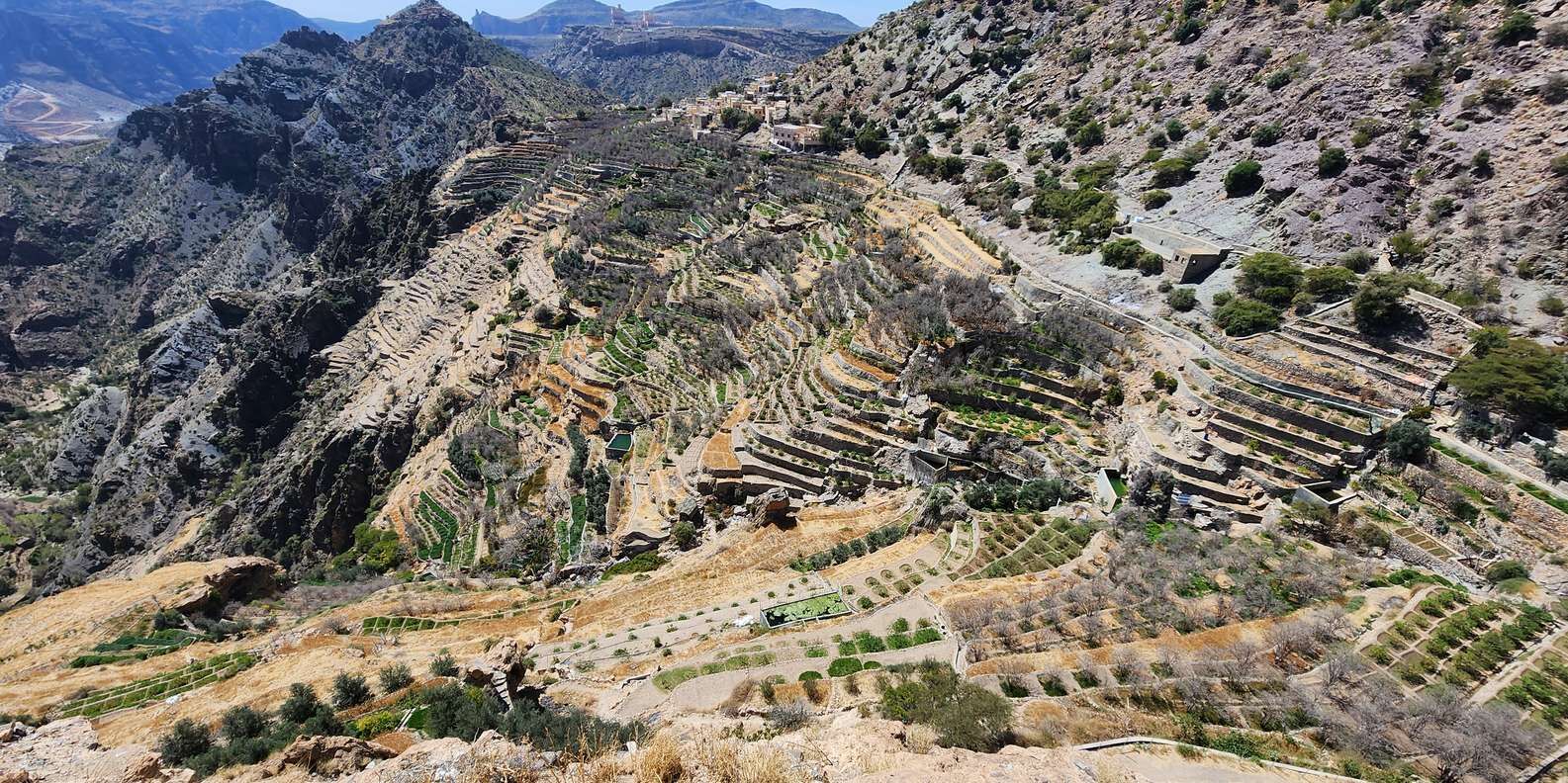 section