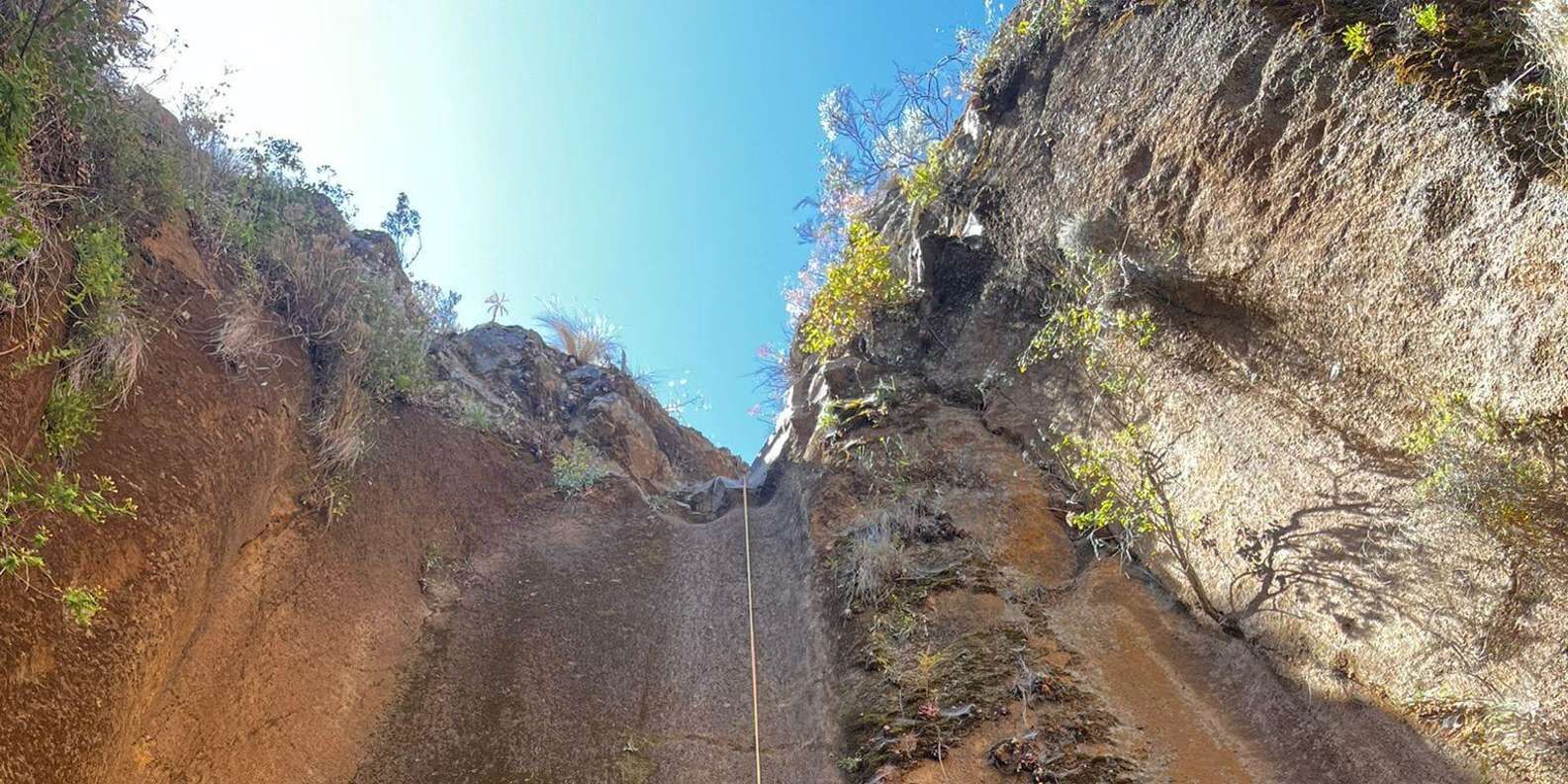 section