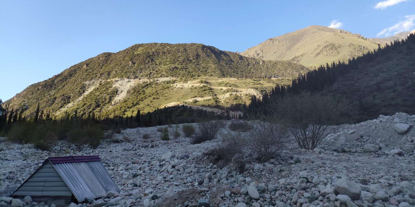 section