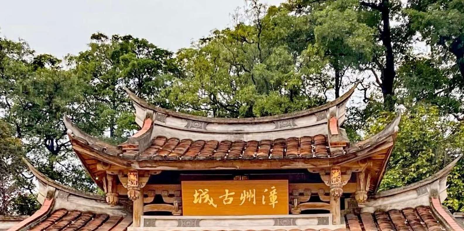 section