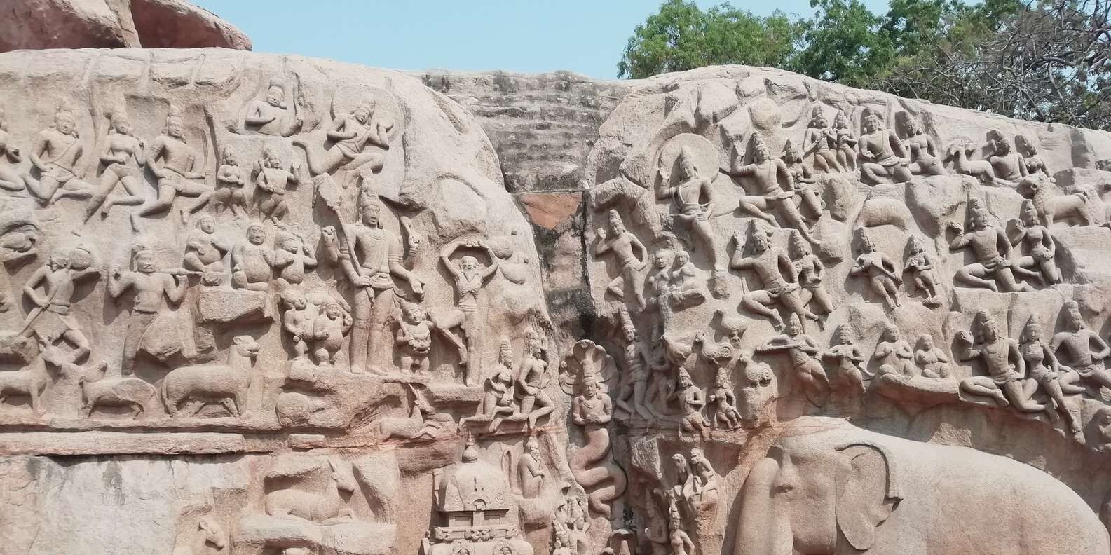 section