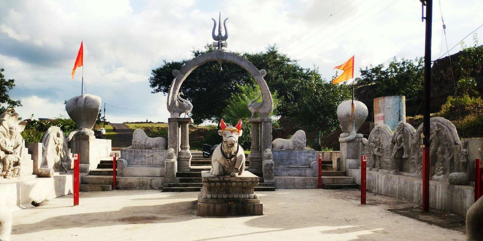 section