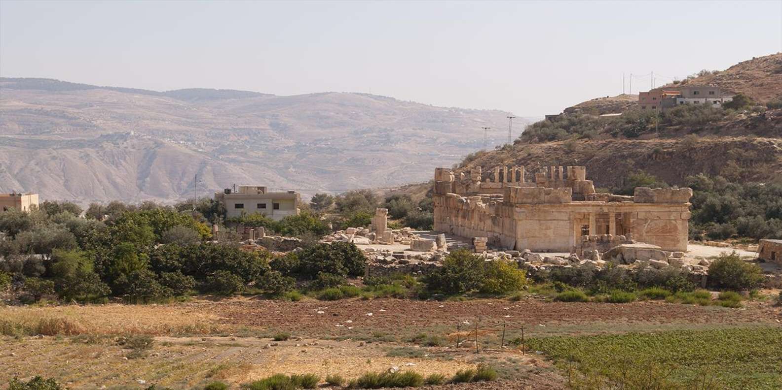 section