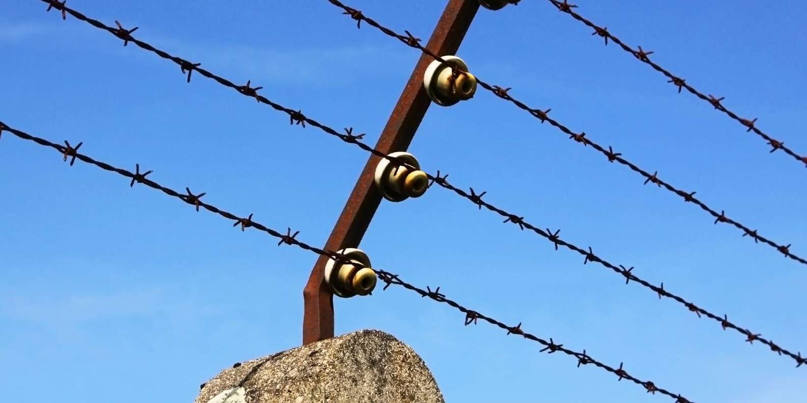 section