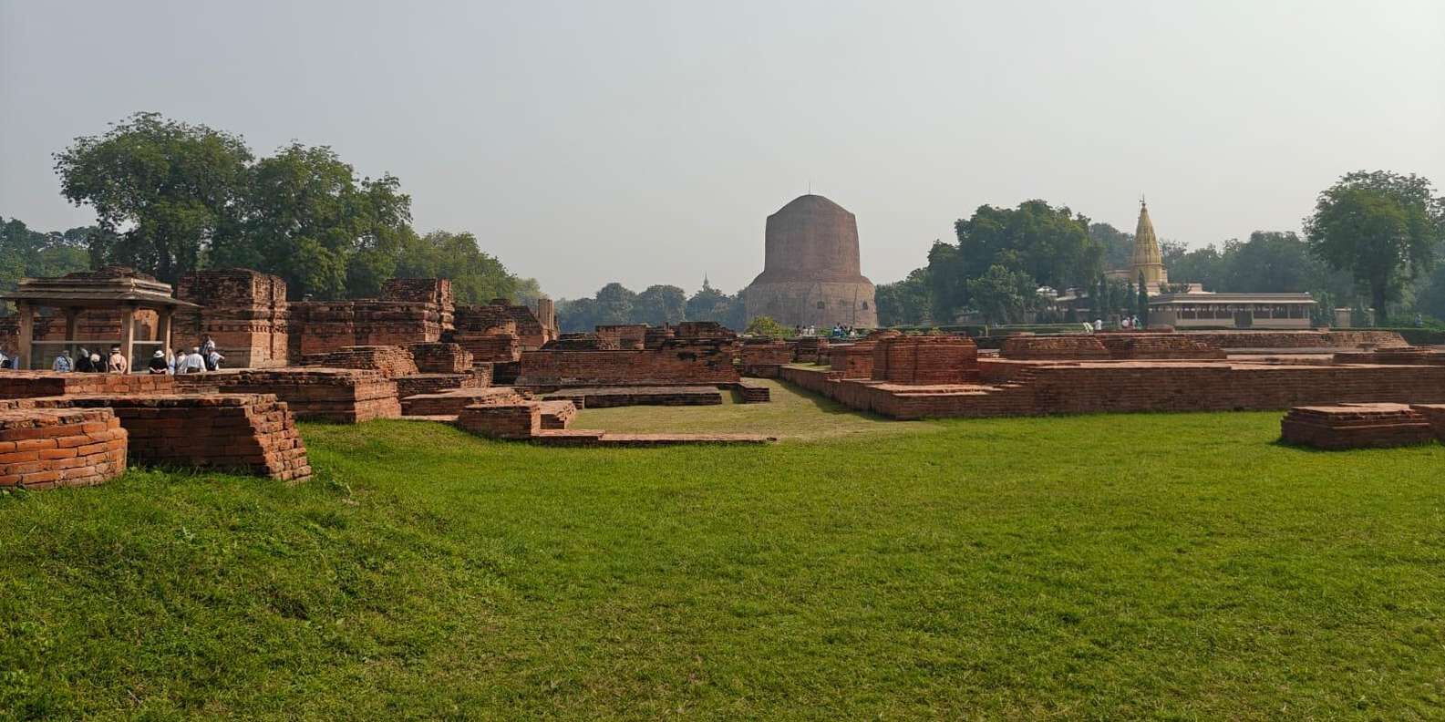 section