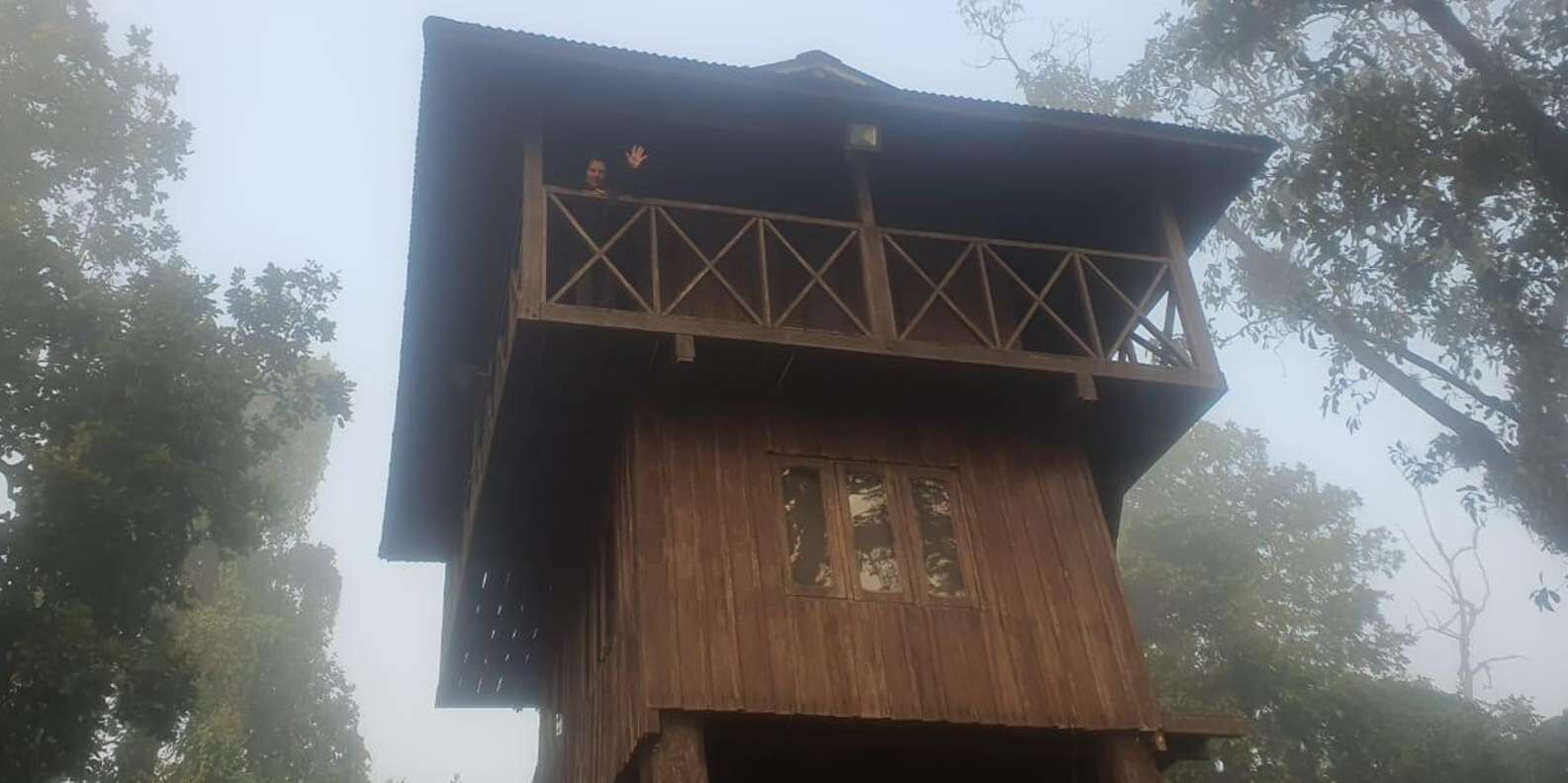 section
