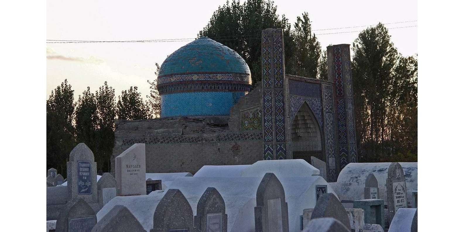 section