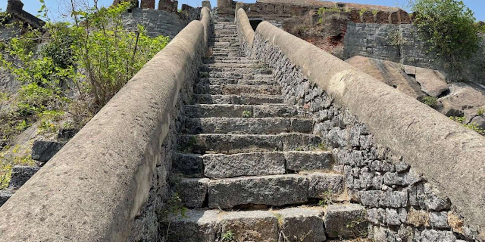 section