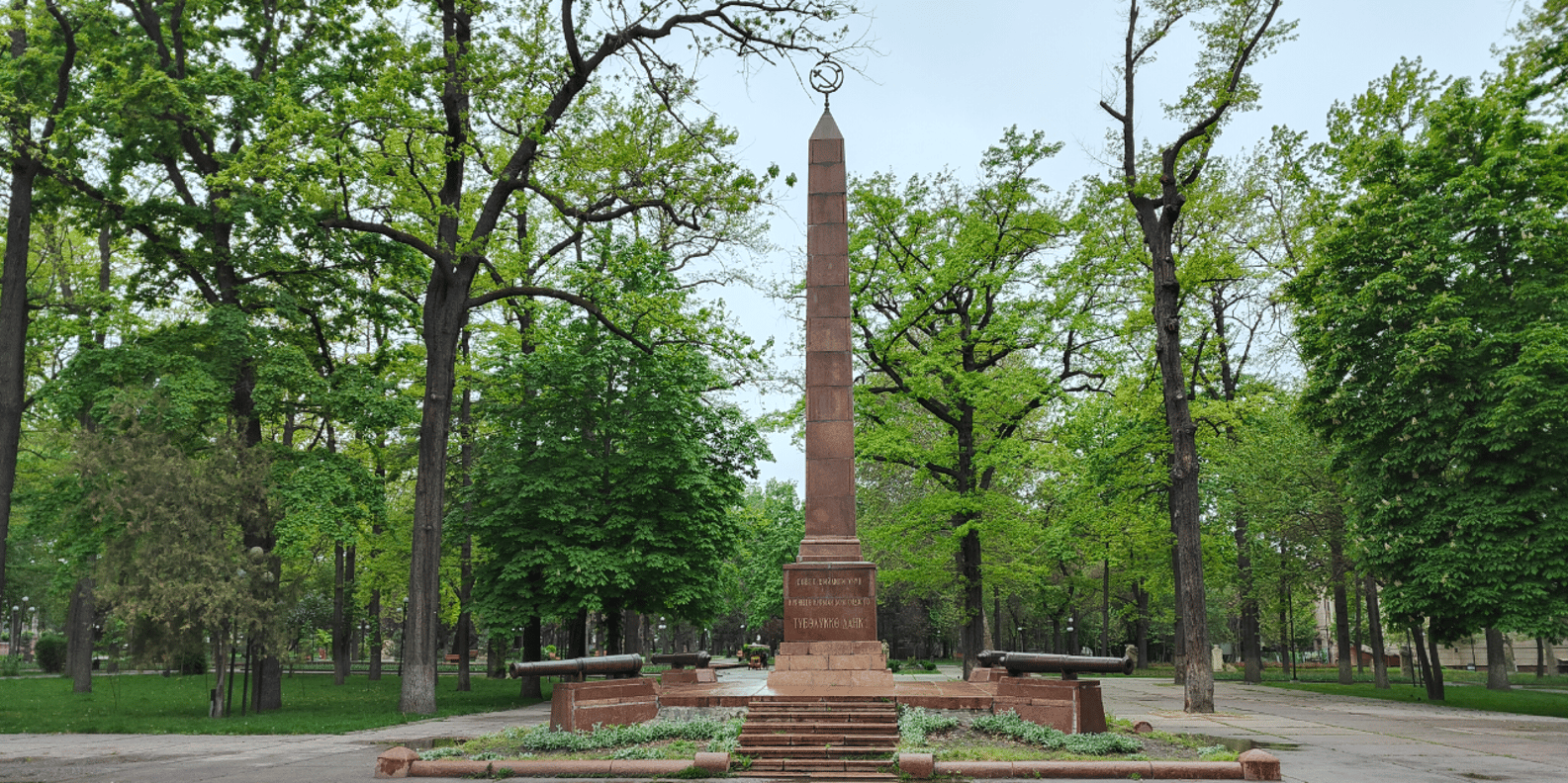 section