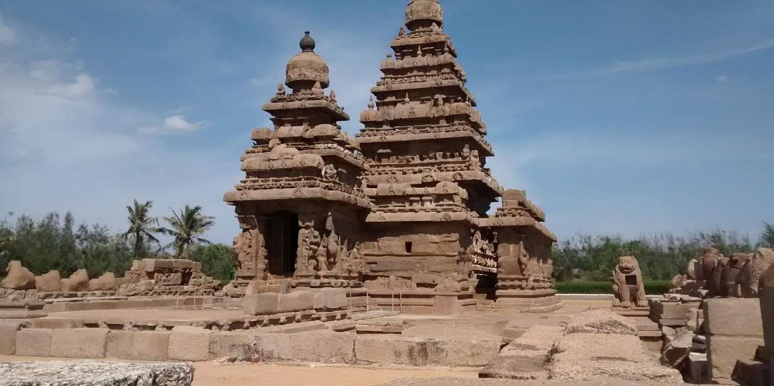 section
