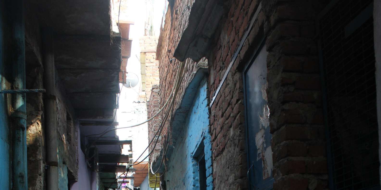 section