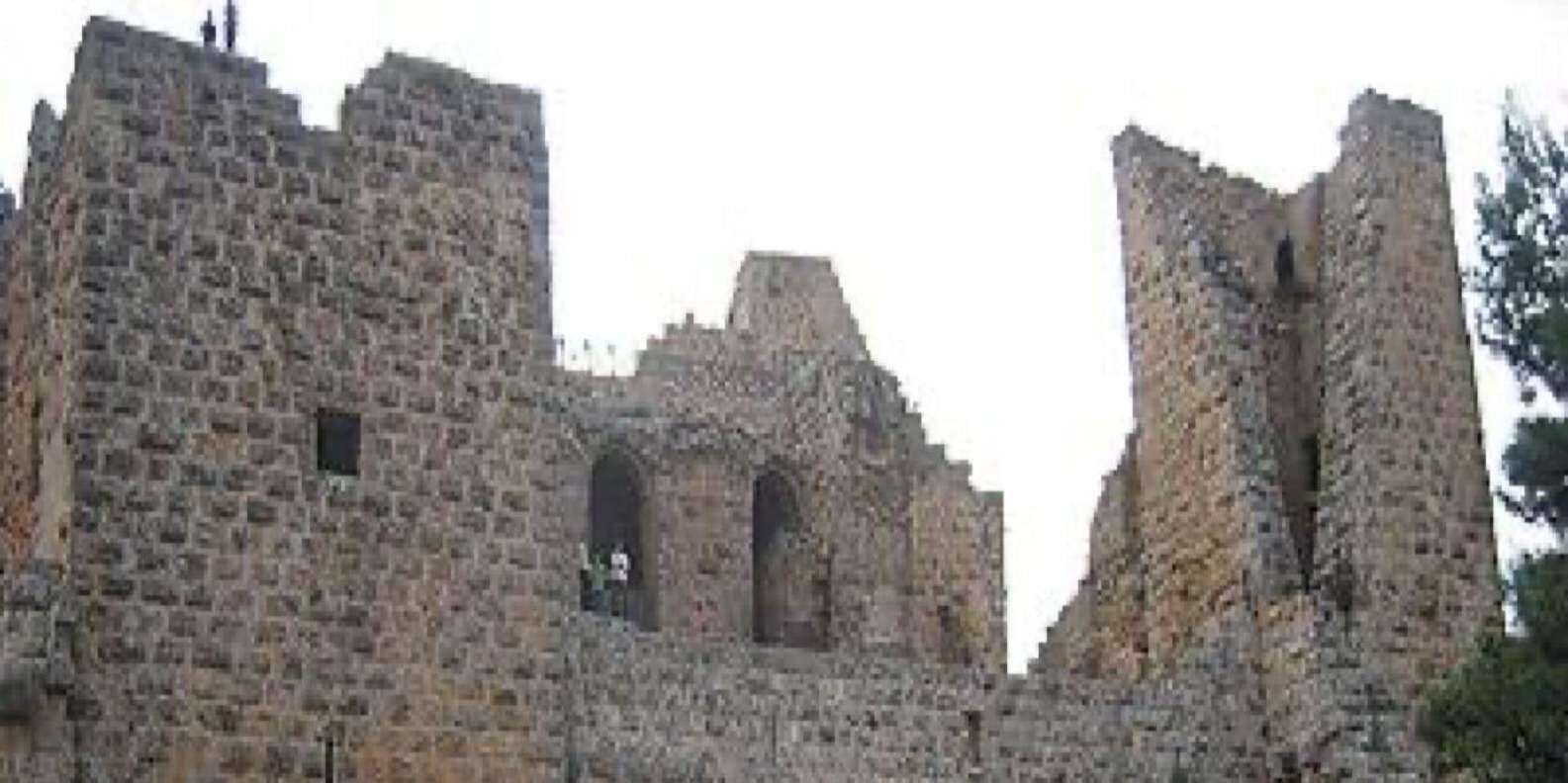 section