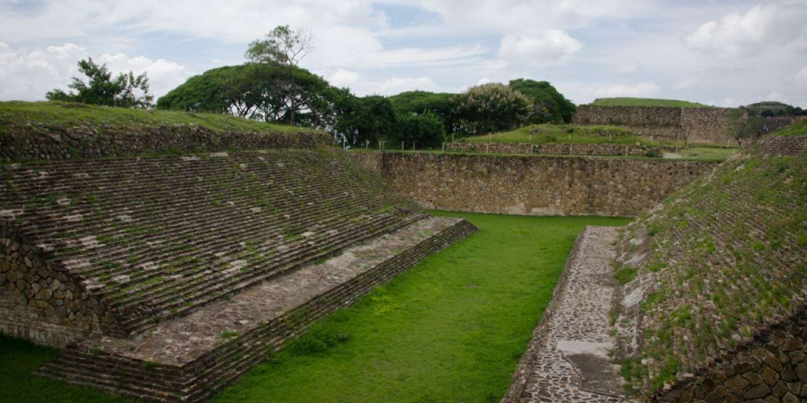 section