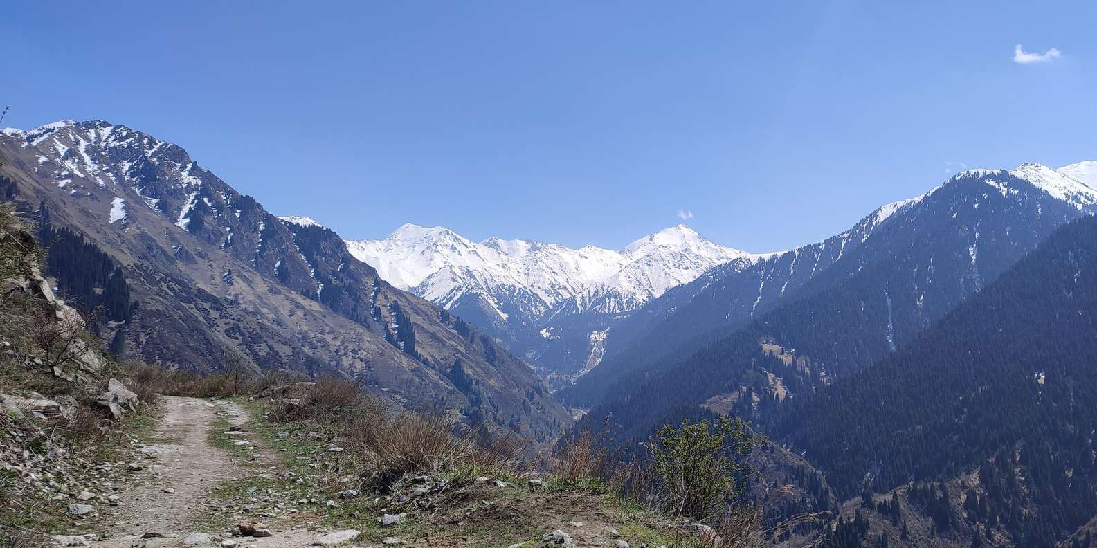 section