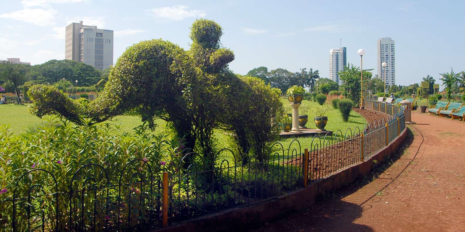 section