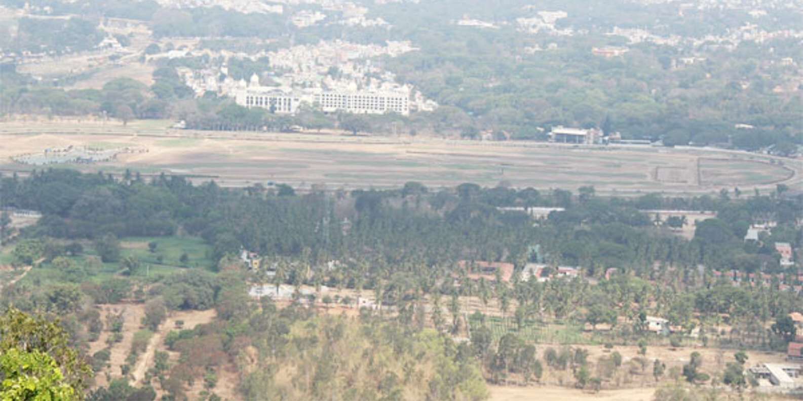 section