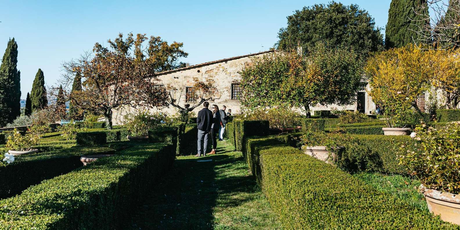 section