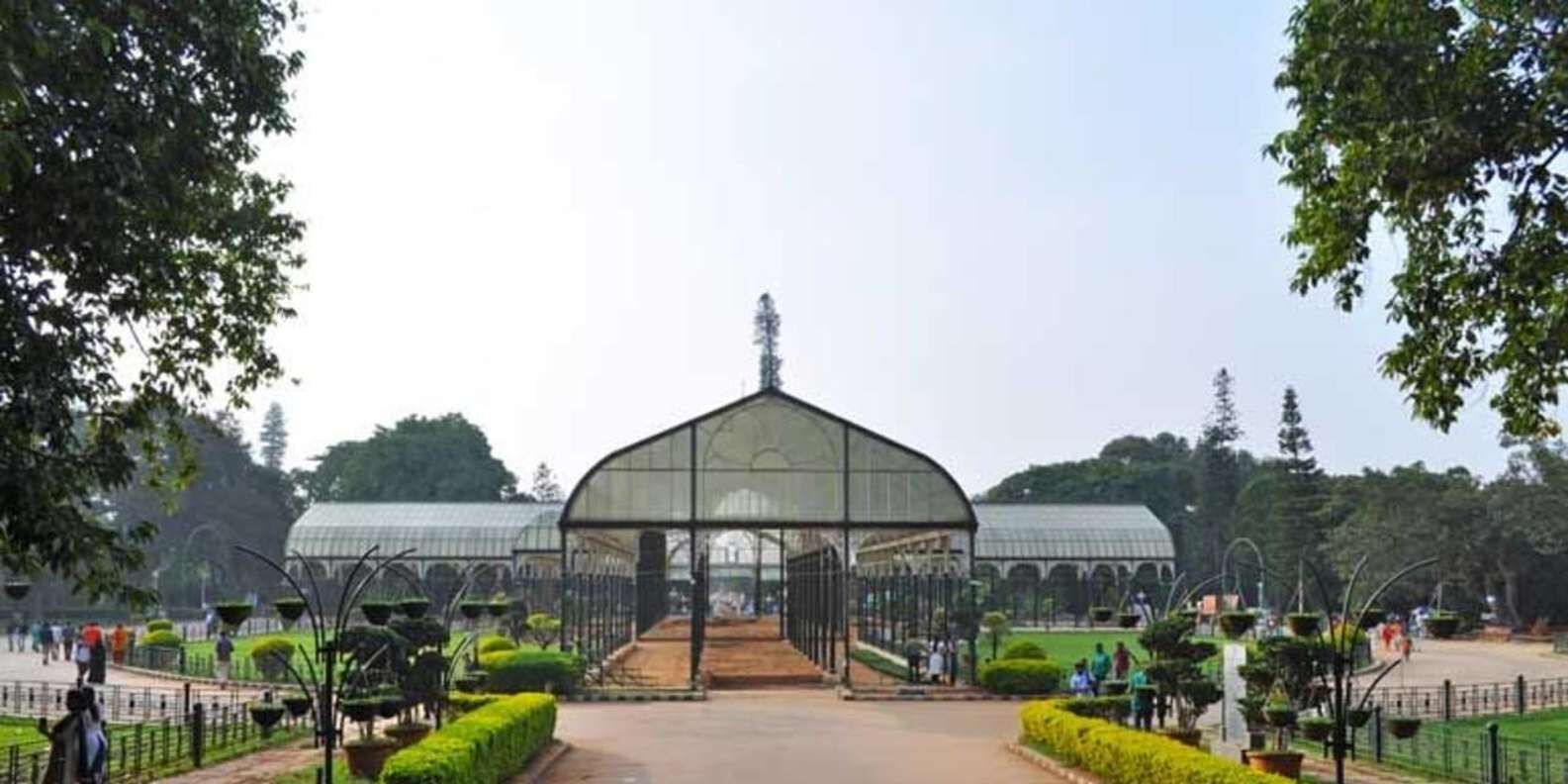 section