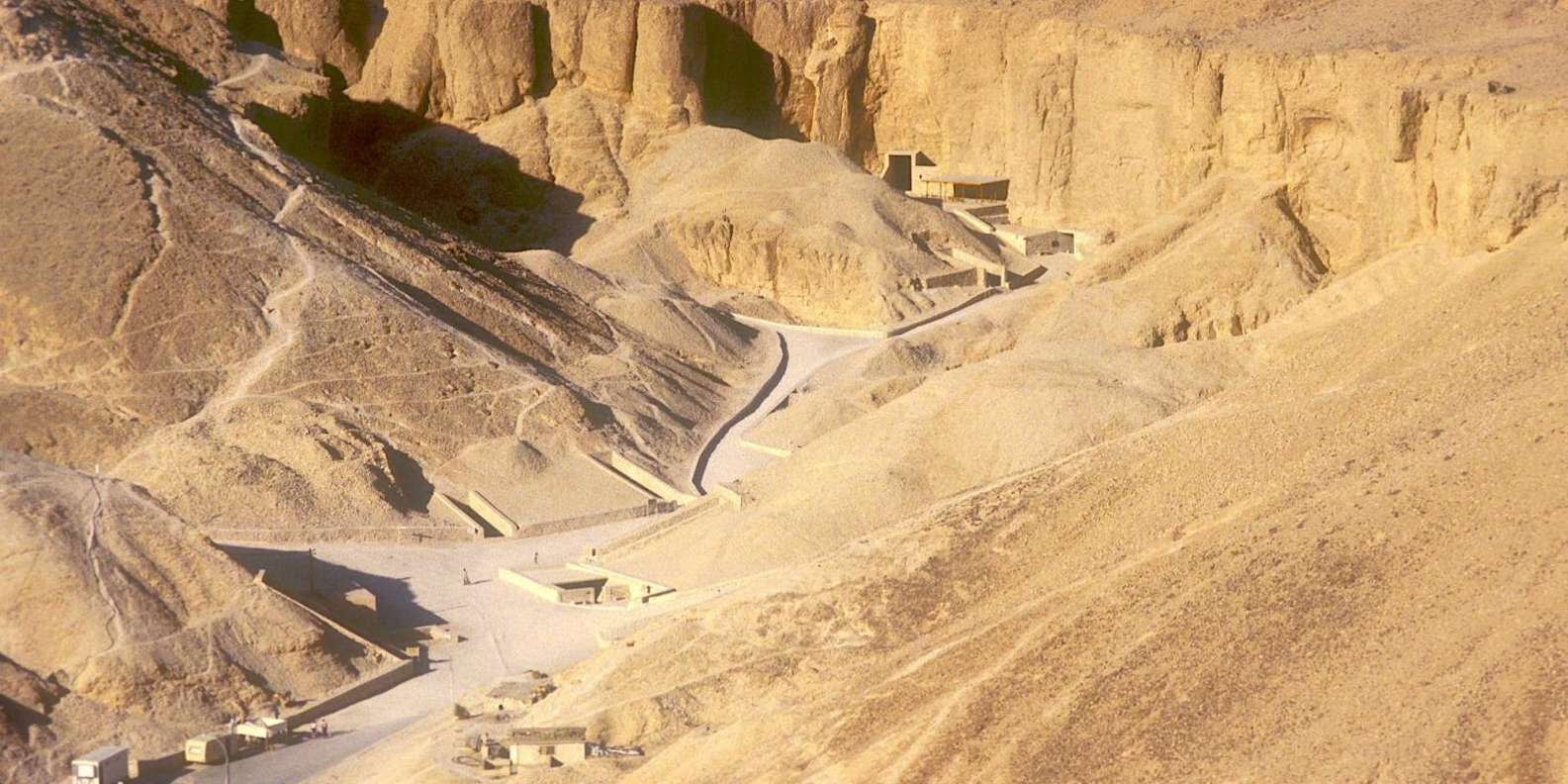 section
