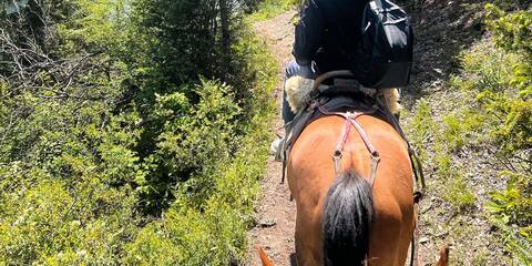 product-thumbnail-1