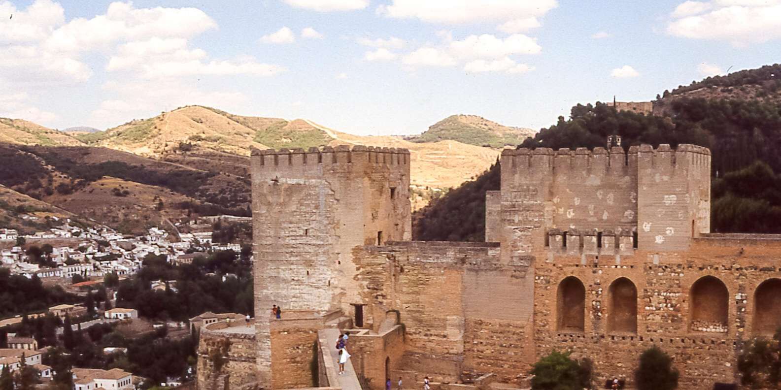 section
