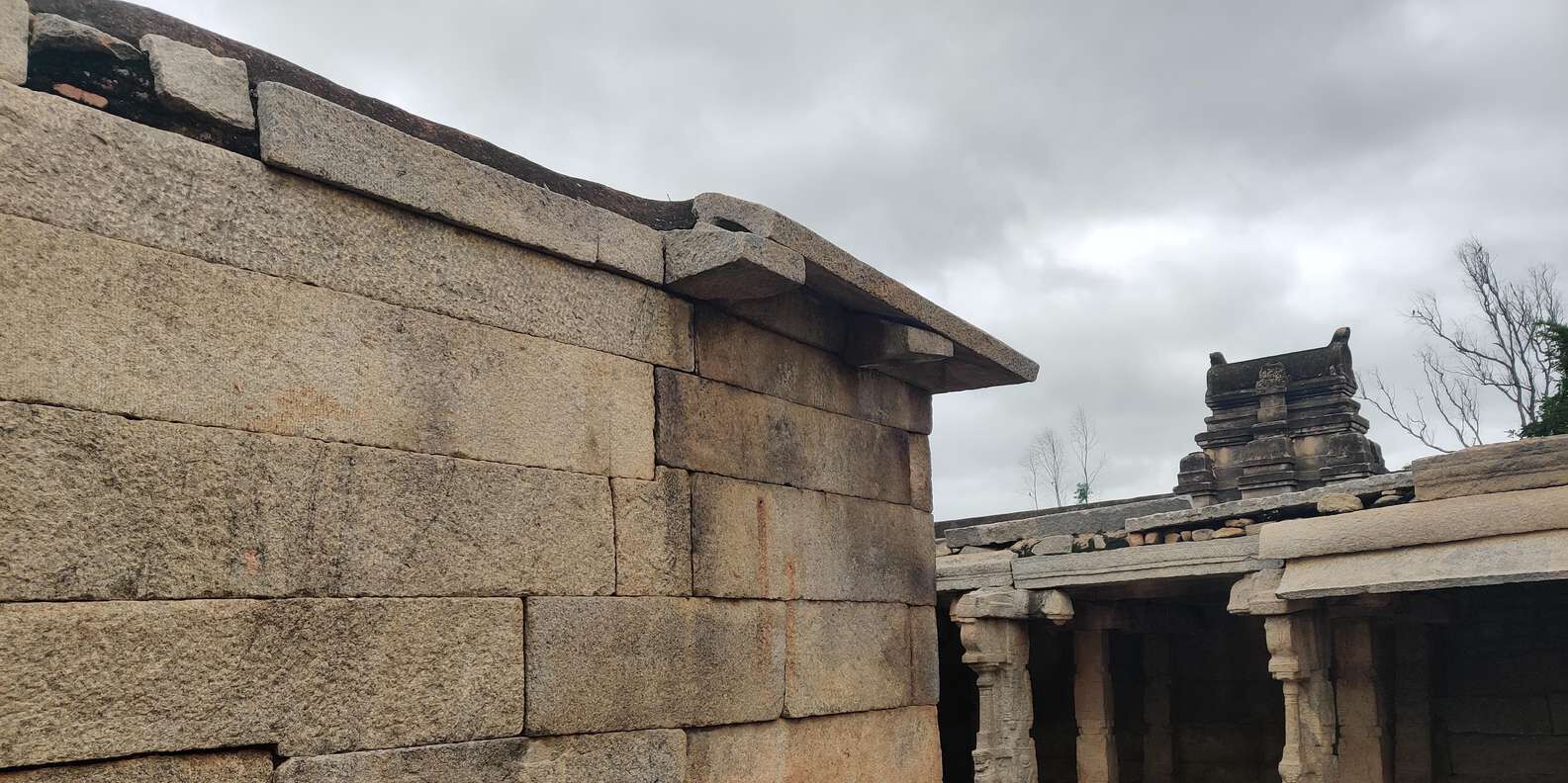 section