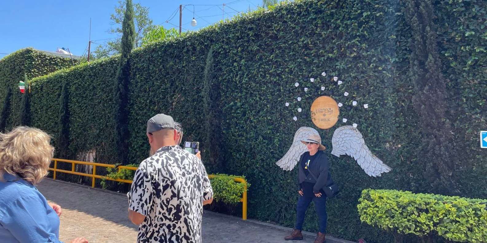 section
