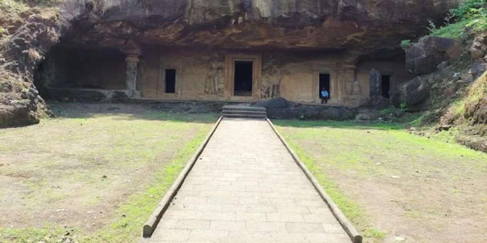 section