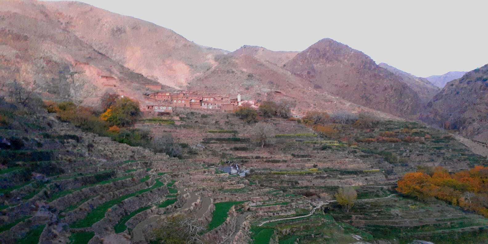 section