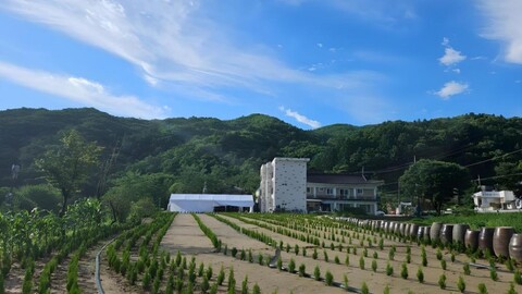 Gwangju Pension &amp;amp;amp;amp; Namhansanseong Art Hall
