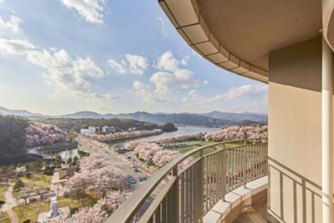 춘천 잭슨나인스 호텔