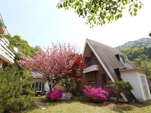 강릉 정명수펜션