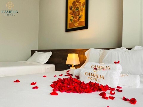 카멜리아 호텔